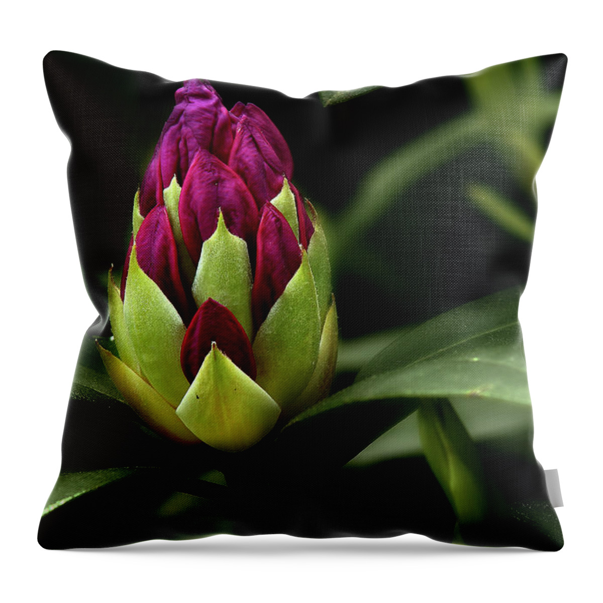 Flower Throw Pillow featuring the photograph Waiting by Mike Eingle