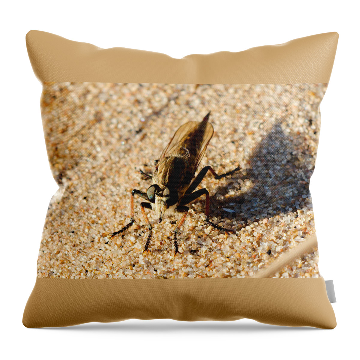 Robberfly Throw Pillow featuring the photograph Waiting on a meal by James Smullins