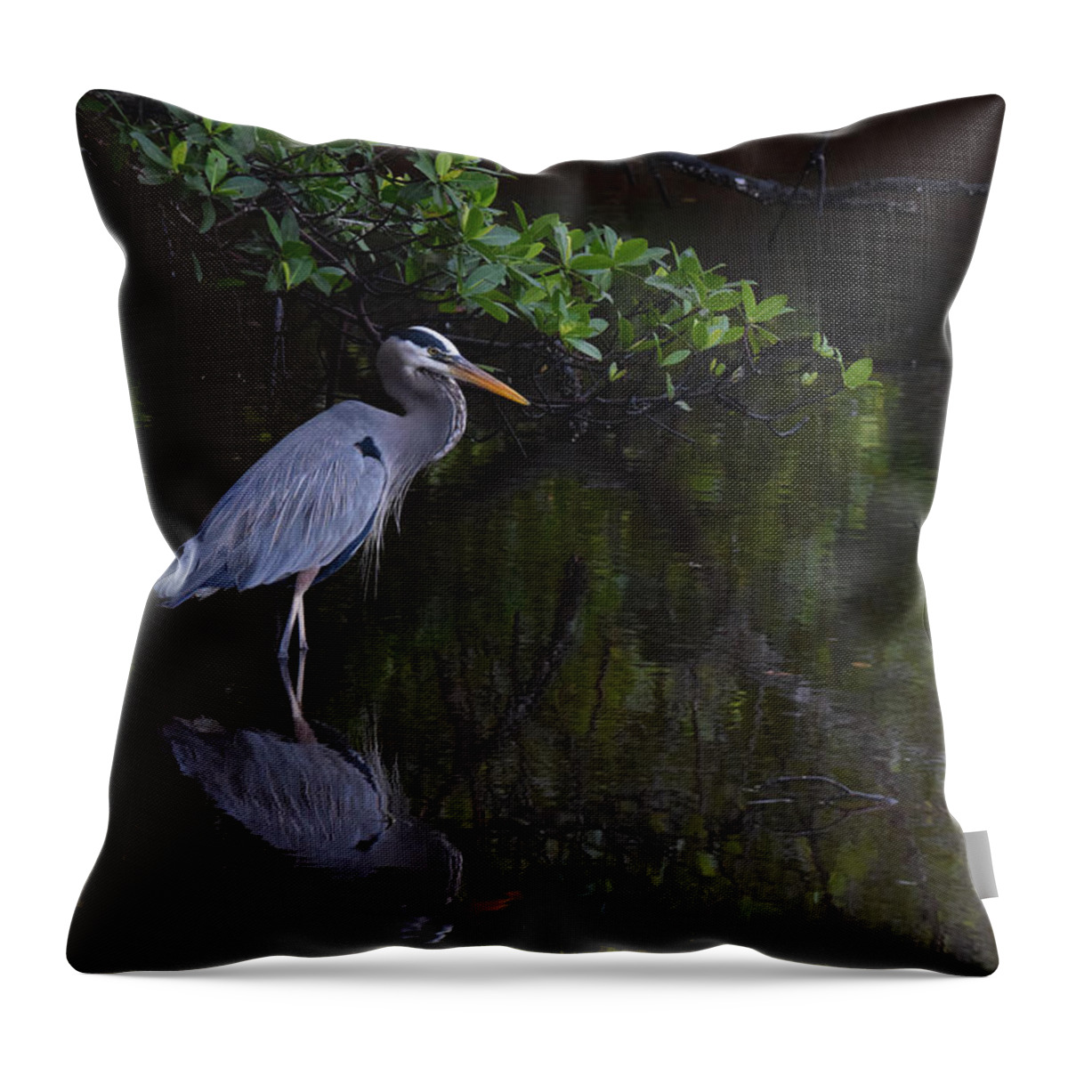 Great Blue Heron Throw Pillow featuring the photograph Waiting Patiently by Jim Bennight