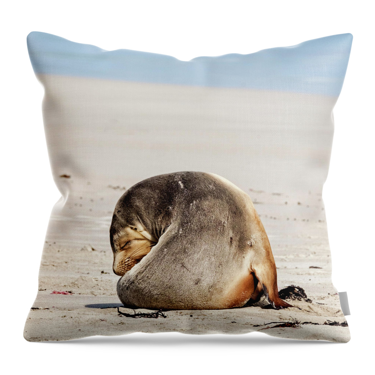 Sea Lion Throw Pillow featuring the photograph Wake Me Up Before you Go Go by Catherine Reading