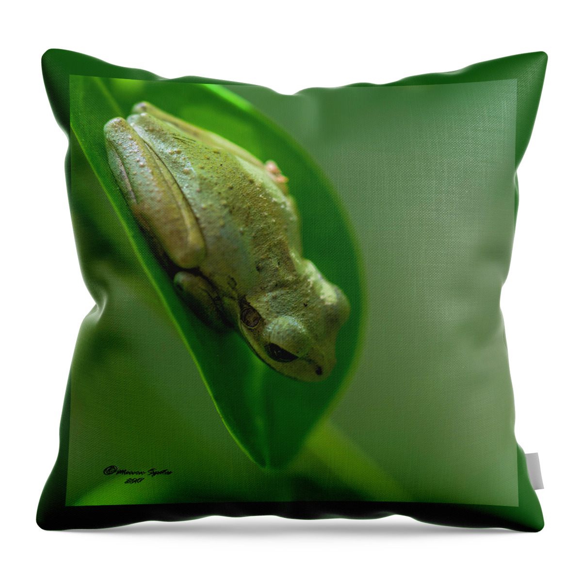 Frog Throw Pillow featuring the photograph Wake Up Time by Marvin Spates