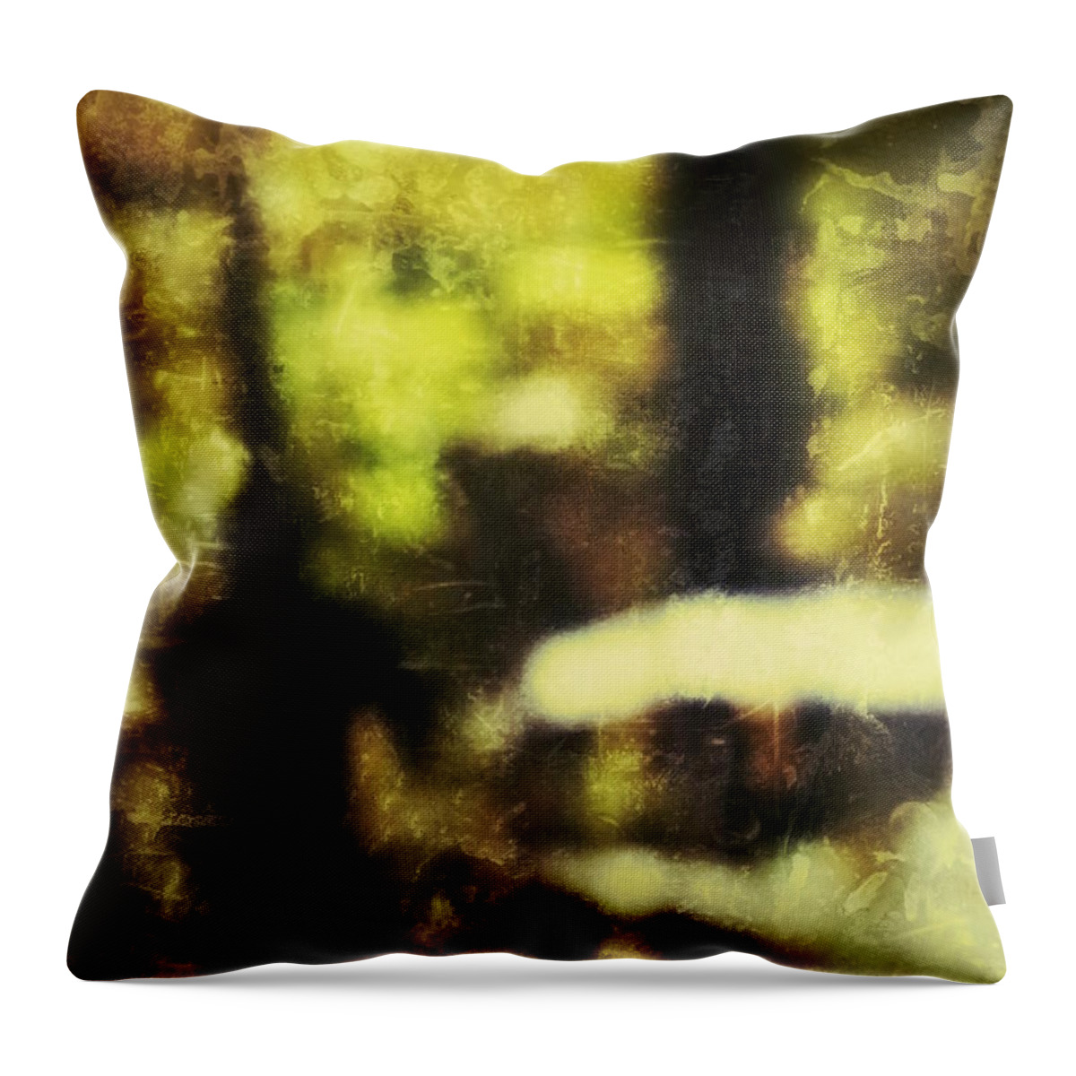 Walk Throw Pillow featuring the photograph Walk in the Park by Al Harden