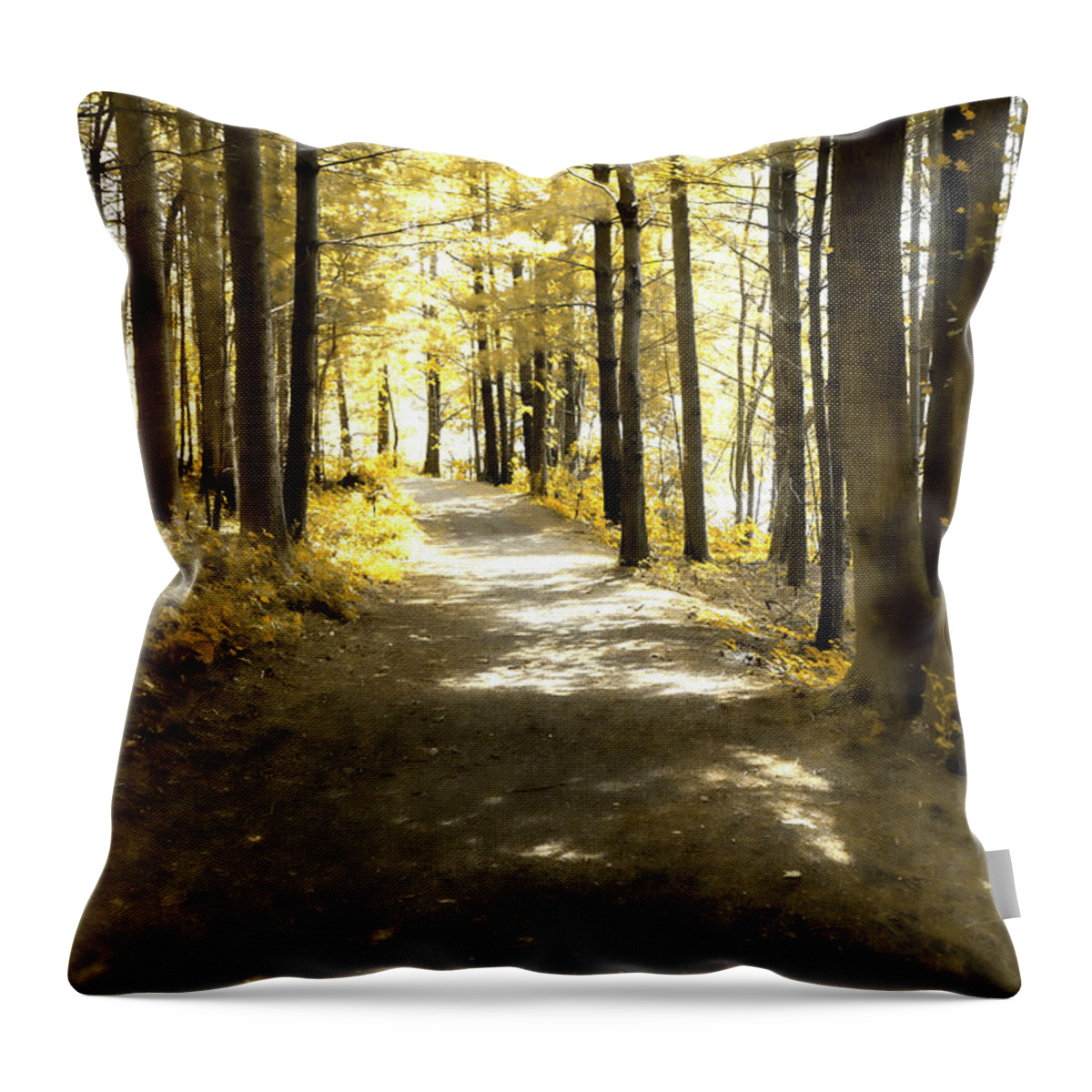 Indian Boundary Throw Pillow featuring the photograph Walk in the Woods by Sharon Popek