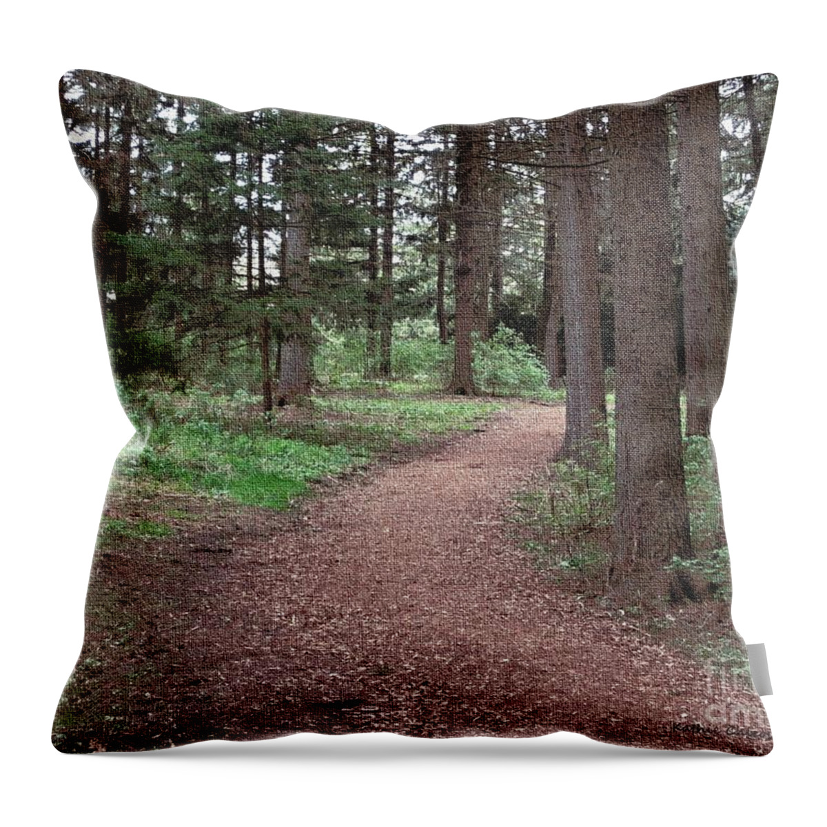 Photography Throw Pillow featuring the photograph Walk through the Pines by Kathie Chicoine