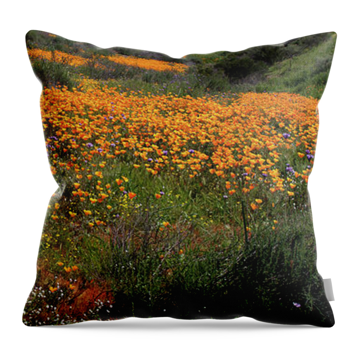 Poppies Throw Pillow featuring the photograph Walker Canyon Poppies by Cliff Wassmann