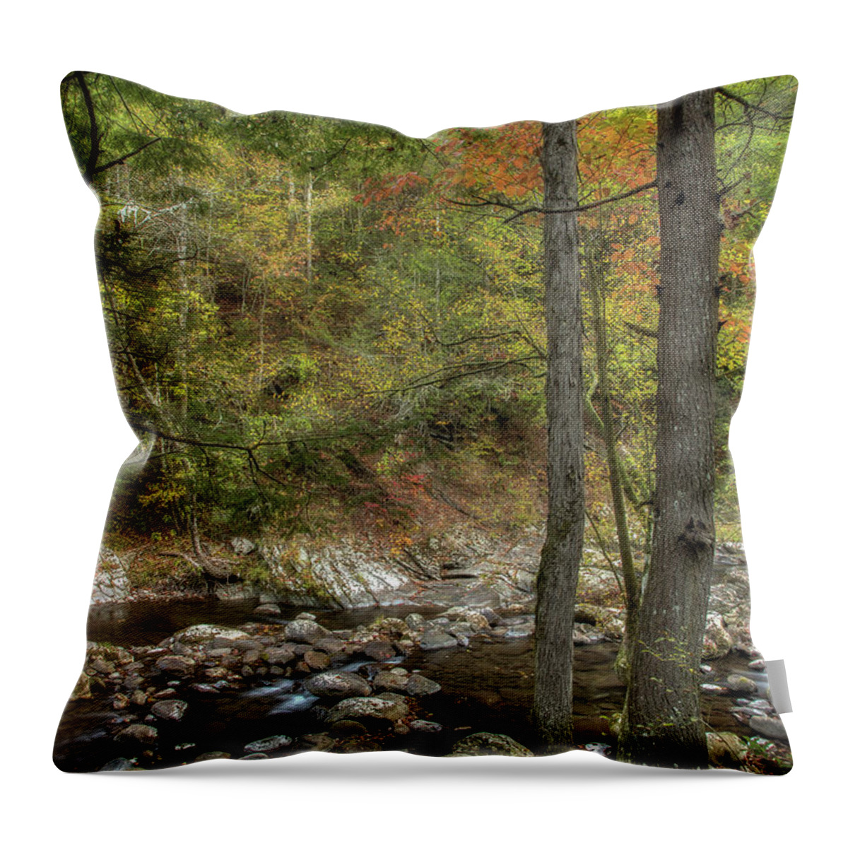 Stream Throw Pillow featuring the photograph Walking Along The Edge by Mike Eingle