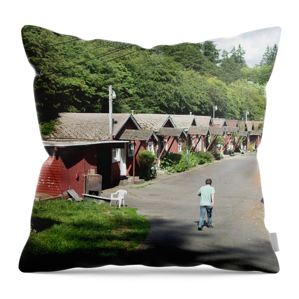 Walking Home Throw Pillow featuring the photograph Walking Home by Tom Cochran