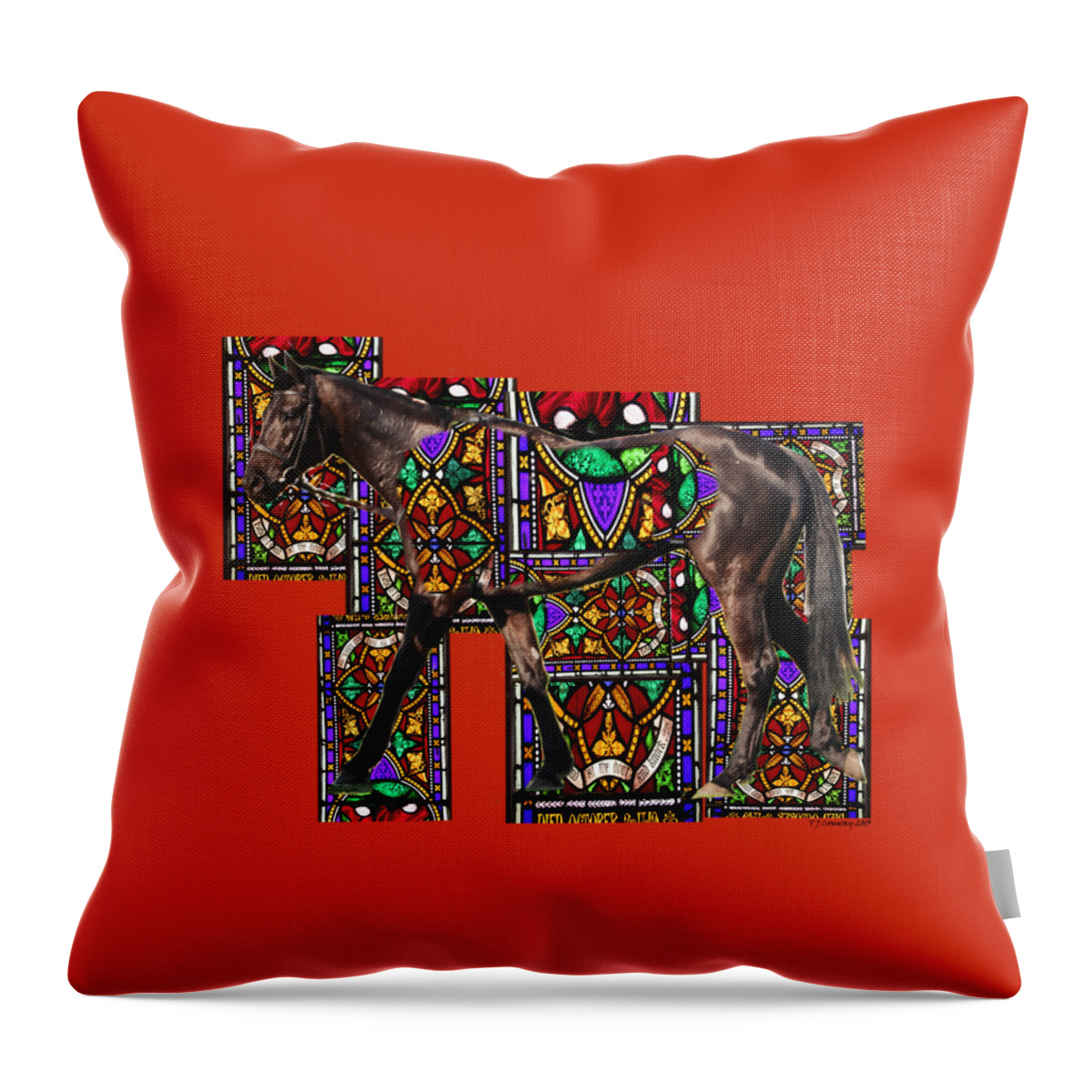 Horse Throw Pillow featuring the photograph Walking Horse by Tom Conway