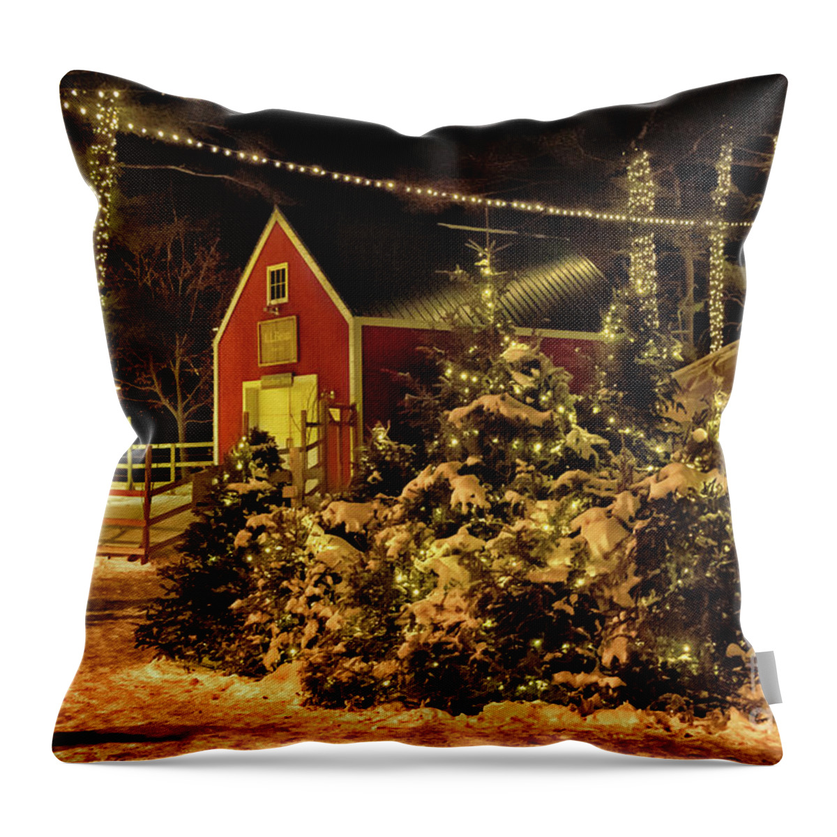 #elizabethdow Throw Pillow featuring the photograph Walking in a Bean's Winter Wonderland by Elizabeth Dow