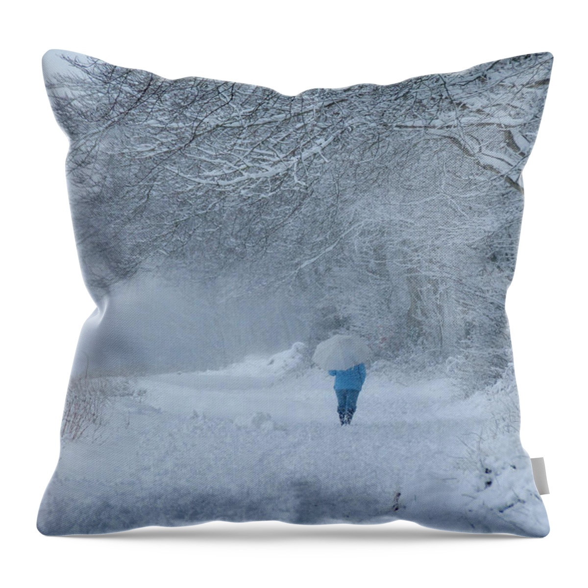 Snow Throw Pillow featuring the photograph Walking in the Snow by Joe Ormonde