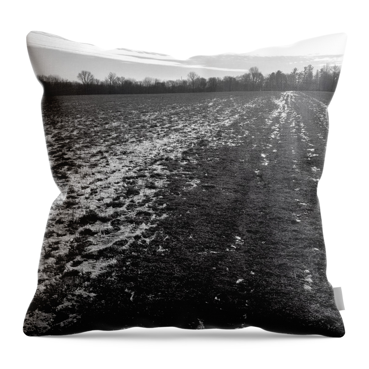  Throw Pillow featuring the photograph Walking in the Winter Field by Polly Castor