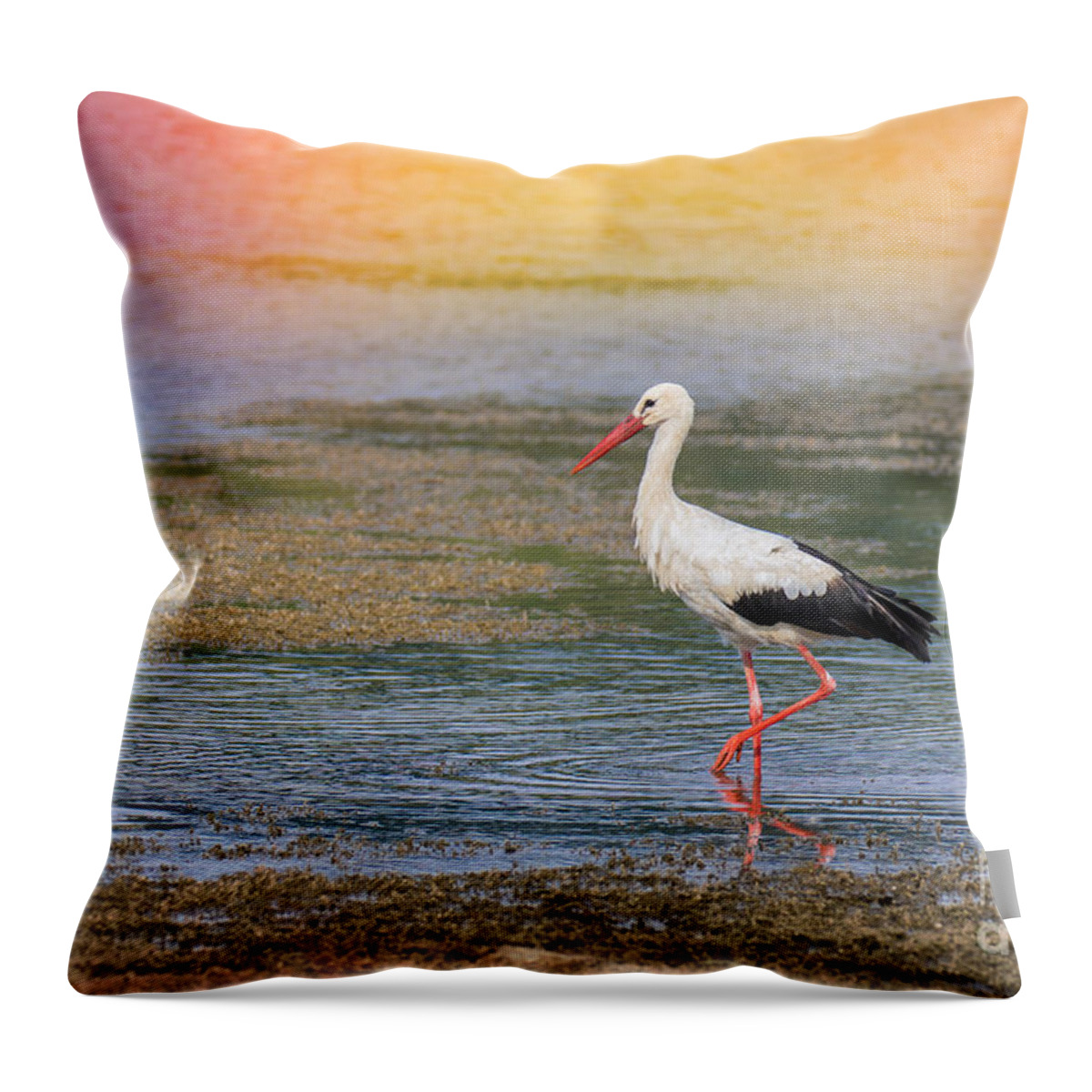 Animal Throw Pillow featuring the photograph Walking by Jivko Nakev