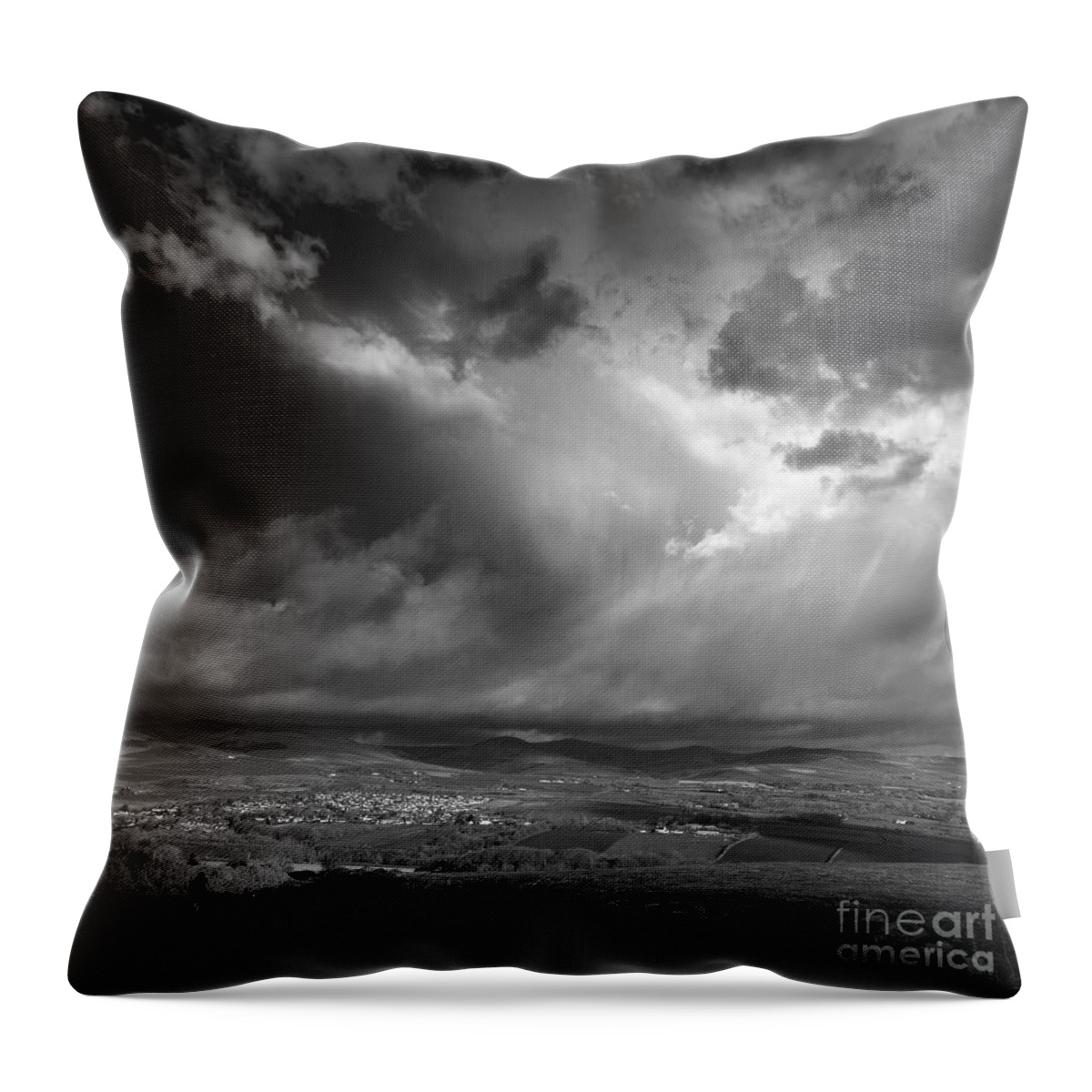 Black And White Throw Pillow featuring the photograph Walking North by Paul Davenport