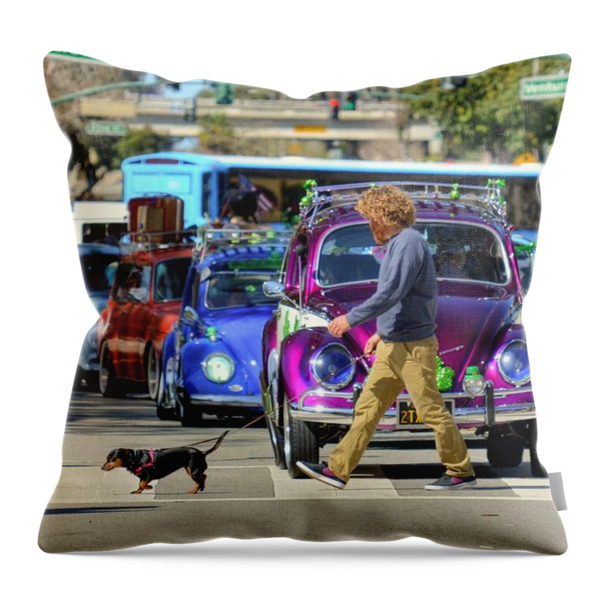  Throw Pillow featuring the photograph Walking the Dog by Wendell Ward