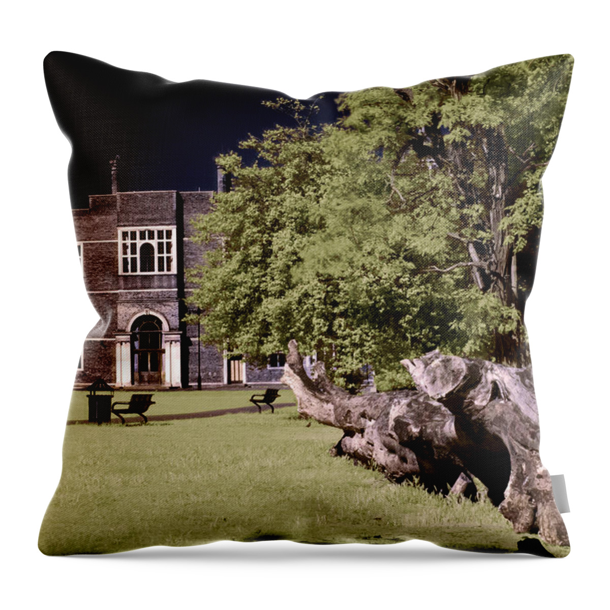Charlton House Throw Pillow featuring the photograph Walking to the library by Helga Novelli
