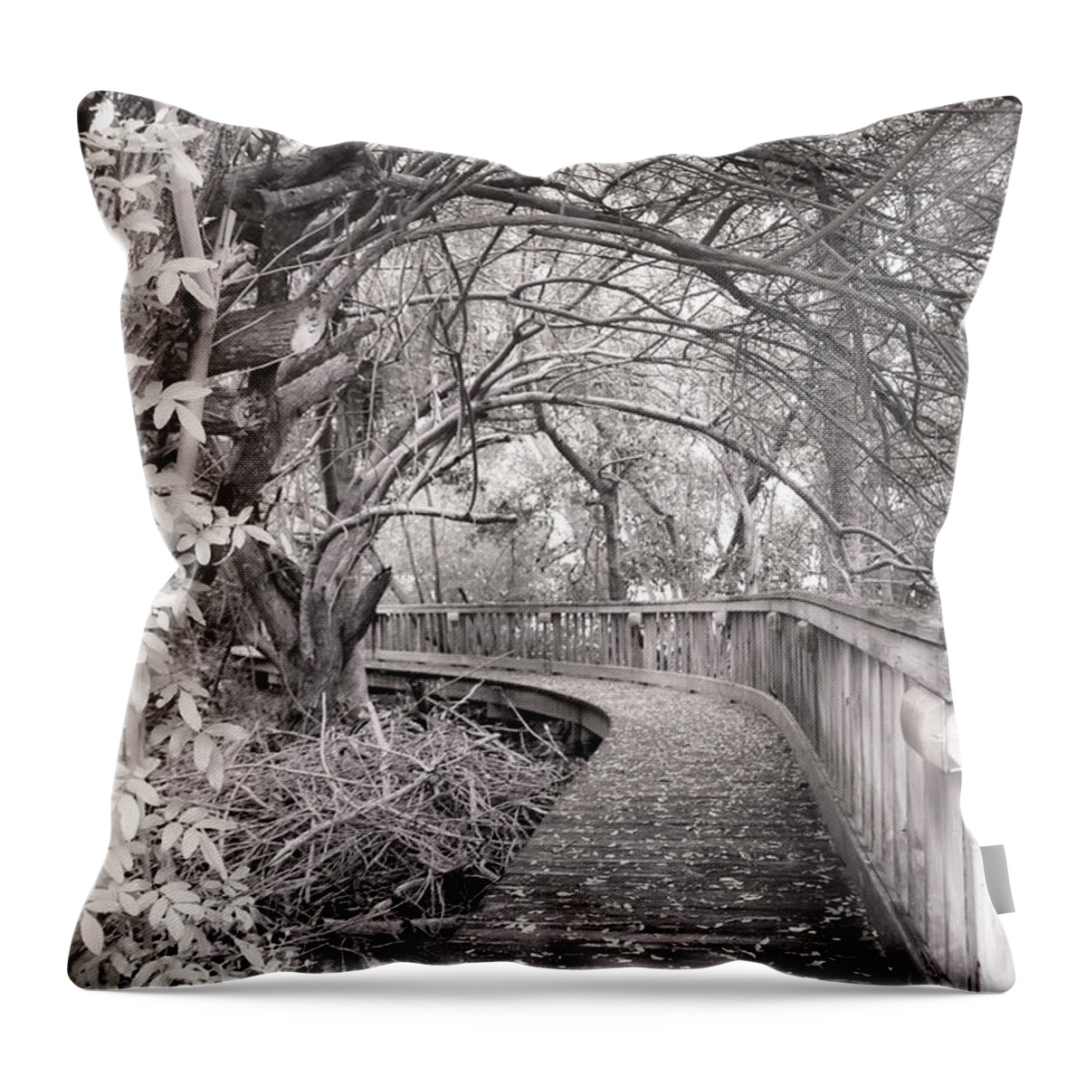 Englewood Throw Pillow featuring the photograph Walkway by Alison Belsan Horton