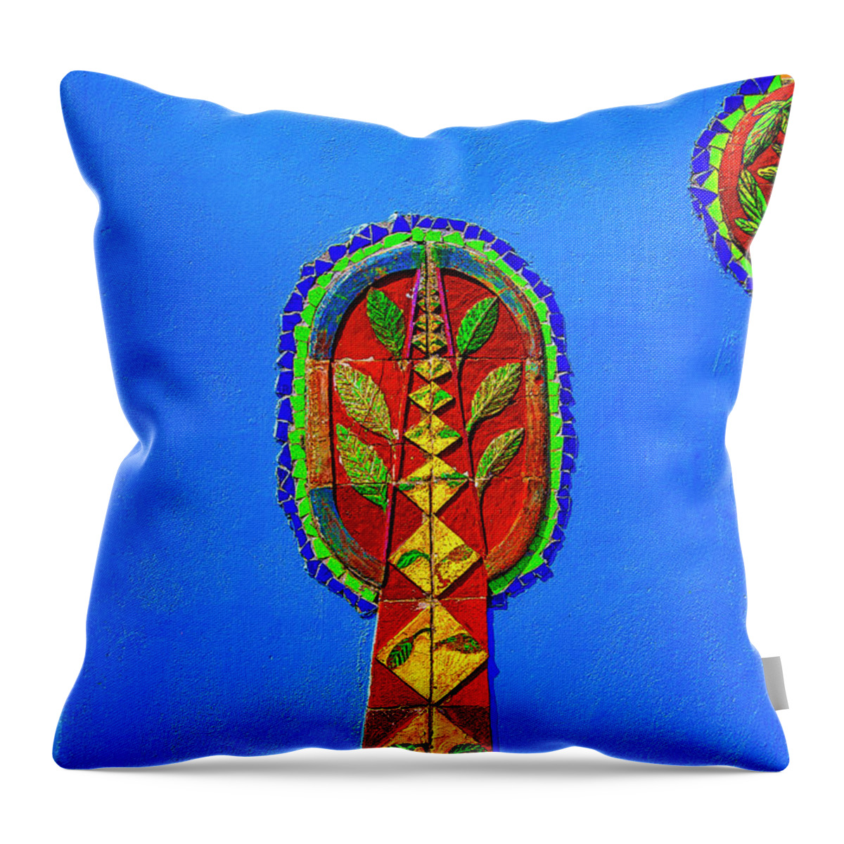 Artists Conceptions Throw Pillow featuring the photograph Wall of Art by Rick Bragan