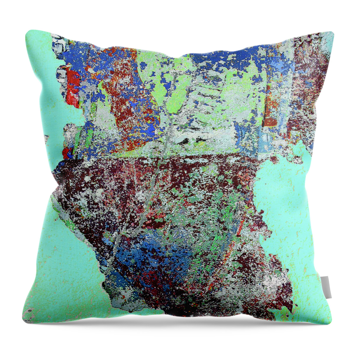  Throw Pillow featuring the photograph Wall by Steve Fields