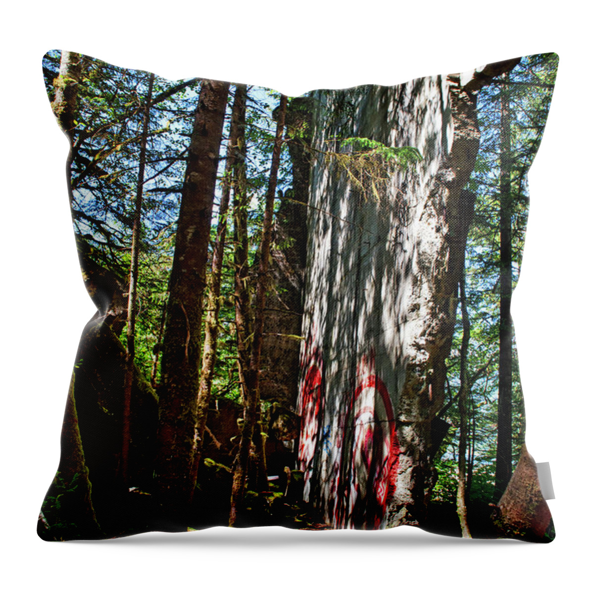 Abandoned Throw Pillow featuring the photograph Walls Come Crumbling Down by Cathy Mahnke