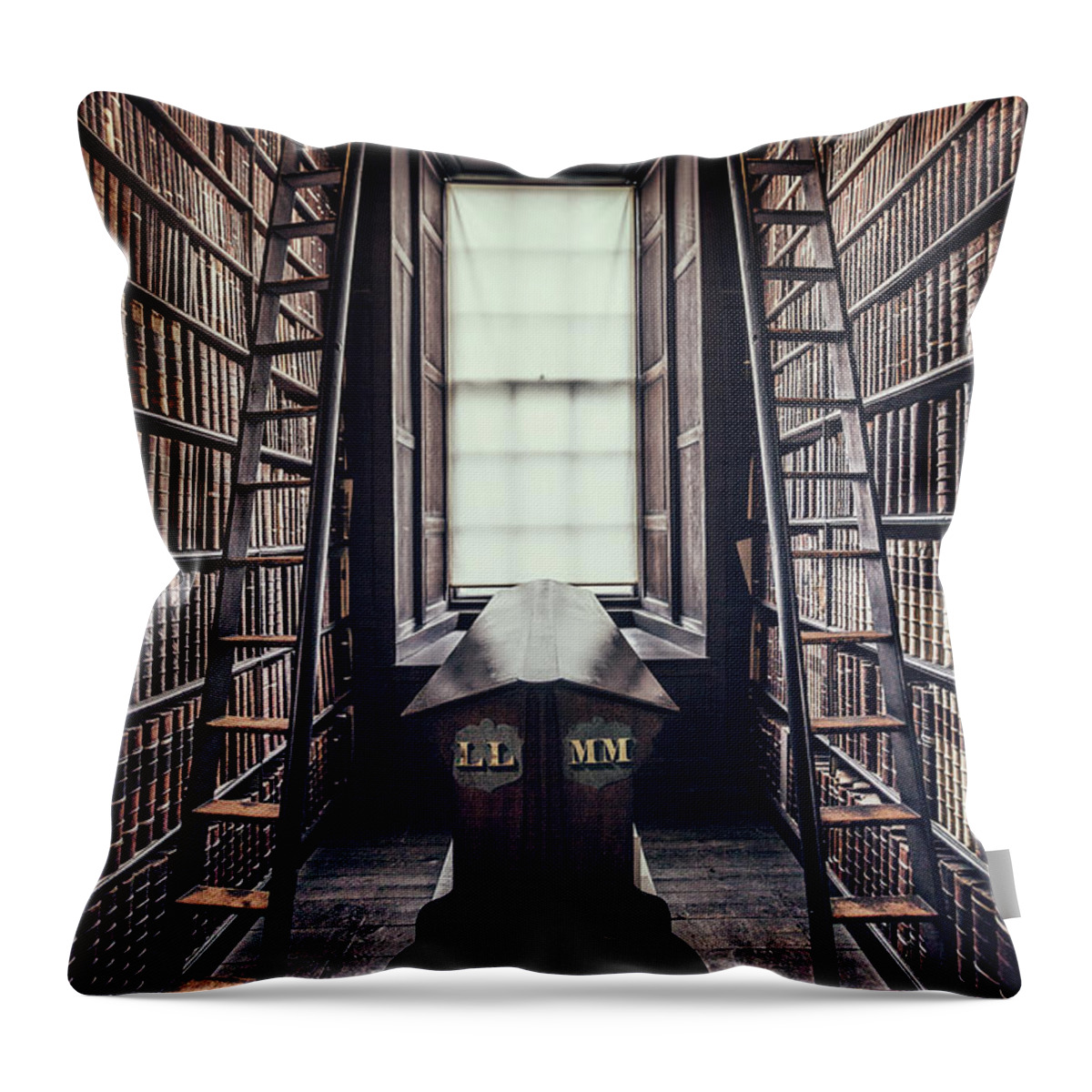 Kremsdorf Throw Pillow featuring the photograph Walls Of Books by Evelina Kremsdorf
