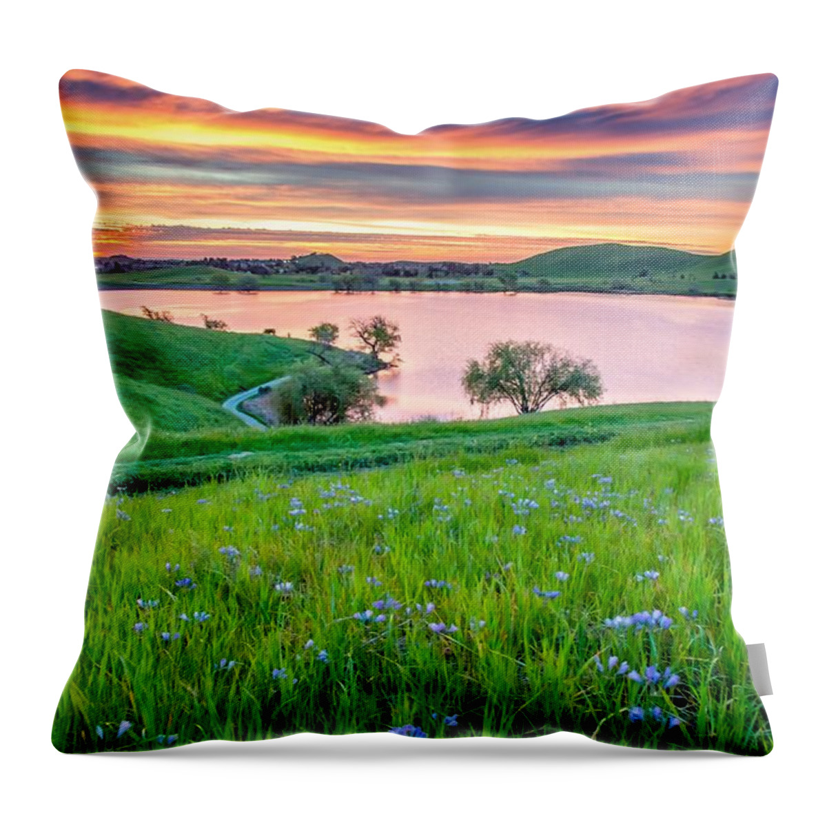 Landscape Throw Pillow featuring the photograph Wally Baskets Above Contra Loma by Marc Crumpler