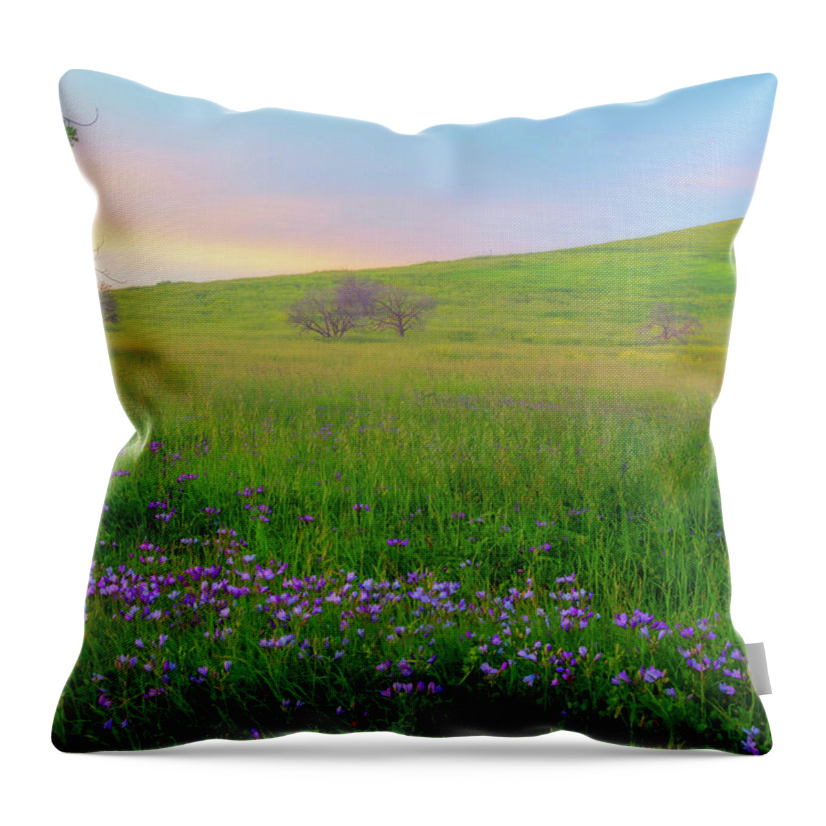 Landscape Throw Pillow featuring the photograph Wally Baskets at Sunrise by Marc Crumpler