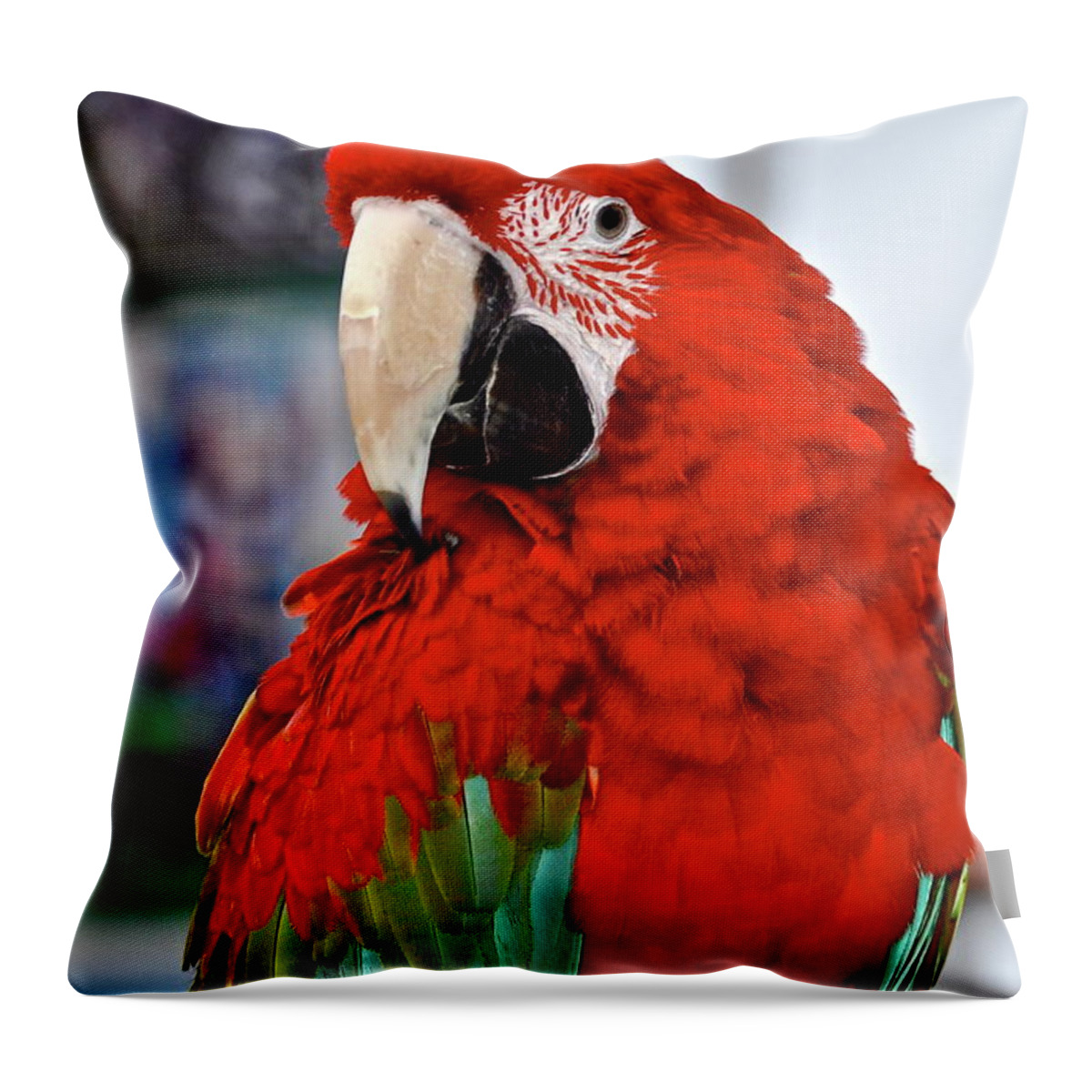 Bird Throw Pillow featuring the photograph Wanna Cracker by Bridgette Gomes