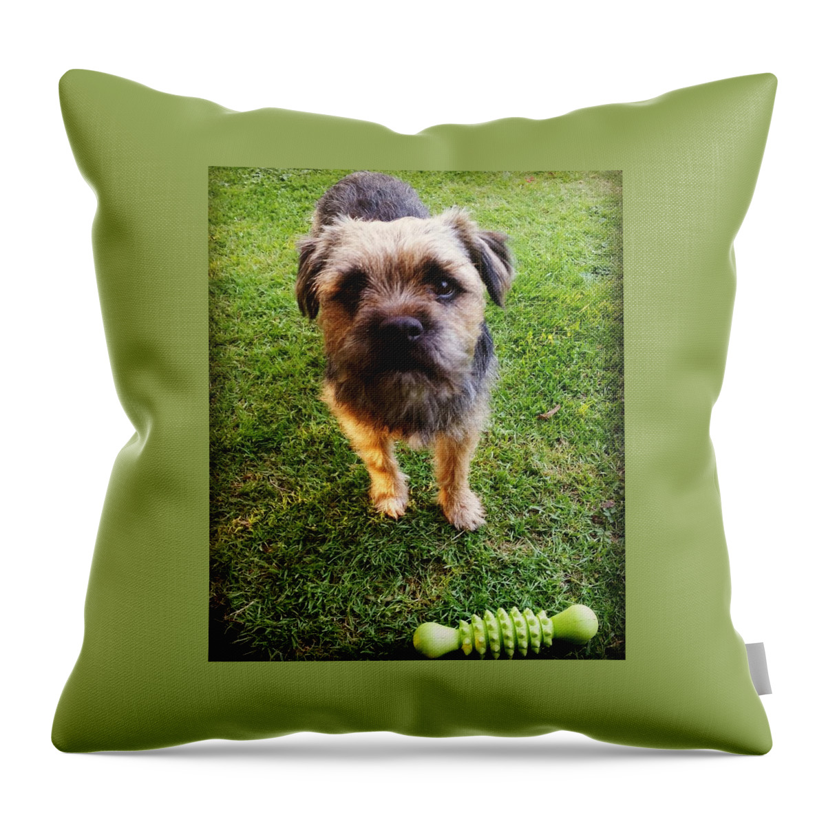 Dog Throw Pillow featuring the photograph Wanna Play by Rowena Tutty