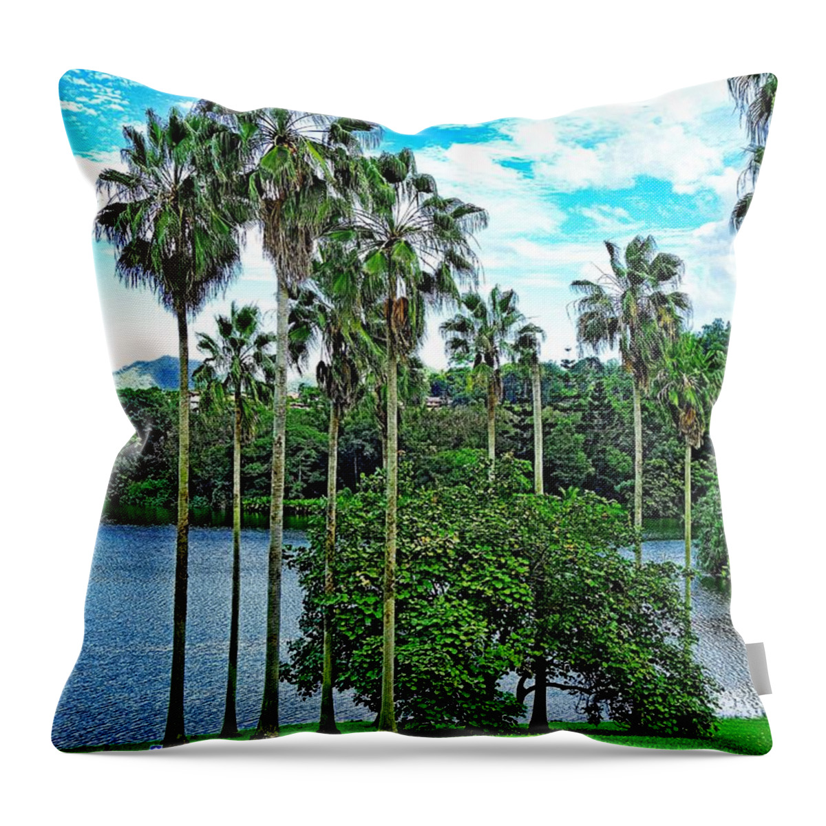 Waokele Pond Throw Pillow featuring the photograph Waokele Pond Palms and Sky by Robert Meyers-Lussier