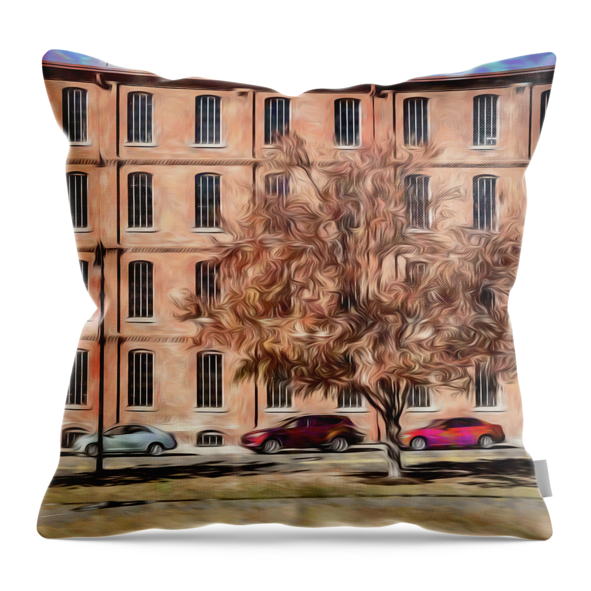 Durham Throw Pillow featuring the photograph Warehouse with Tree by Wade Brooks