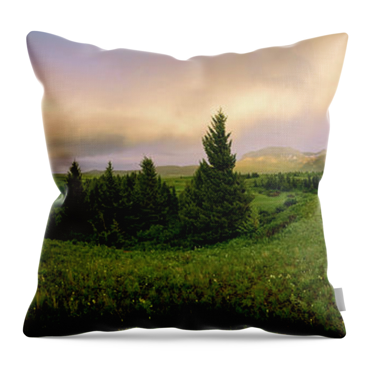 Warm The Soul Throw Pillow featuring the photograph Warm the Soul Panorama by Chad Dutson