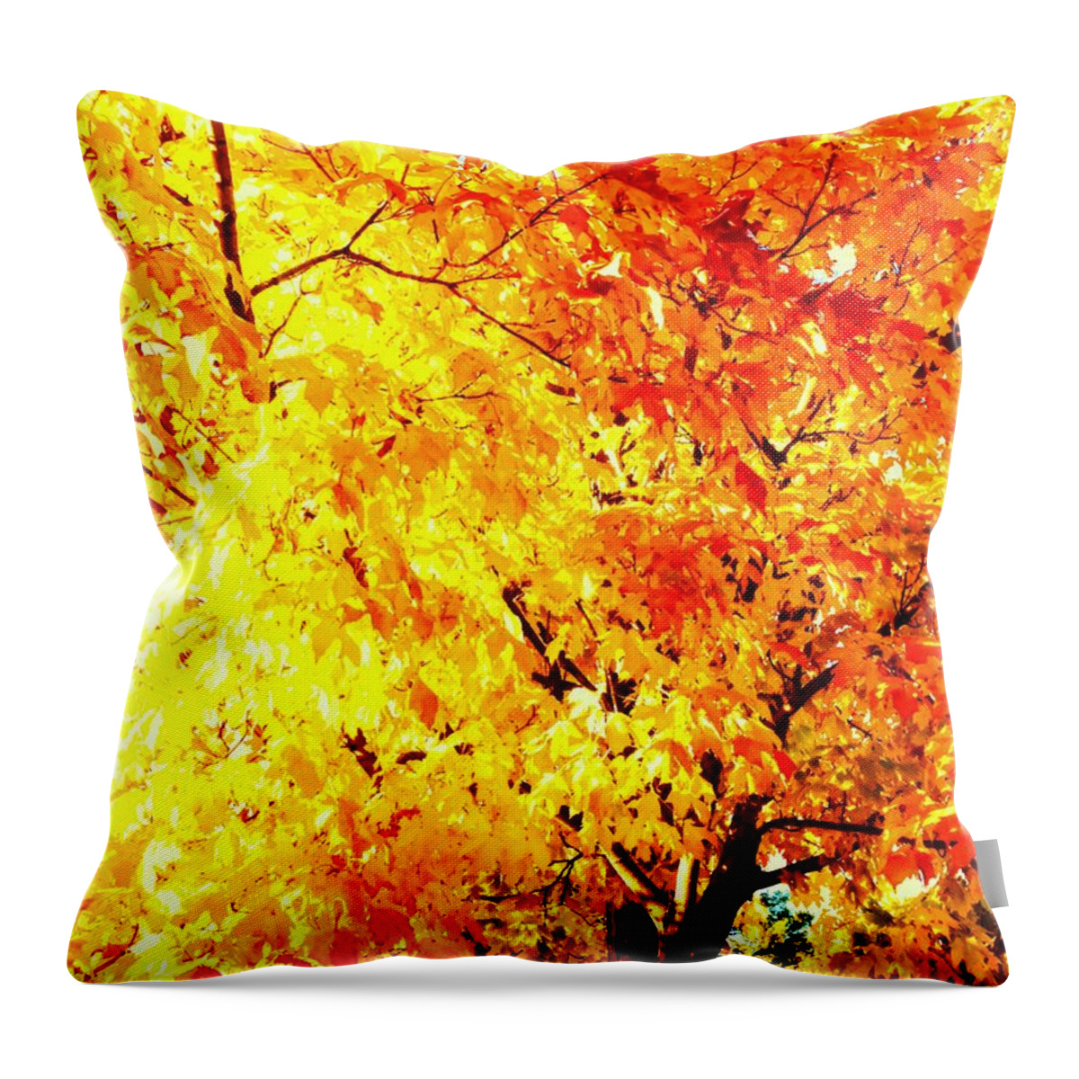 Orange Throw Pillow featuring the photograph Warmth of Fall by Michael Oceanofwisdom Bidwell