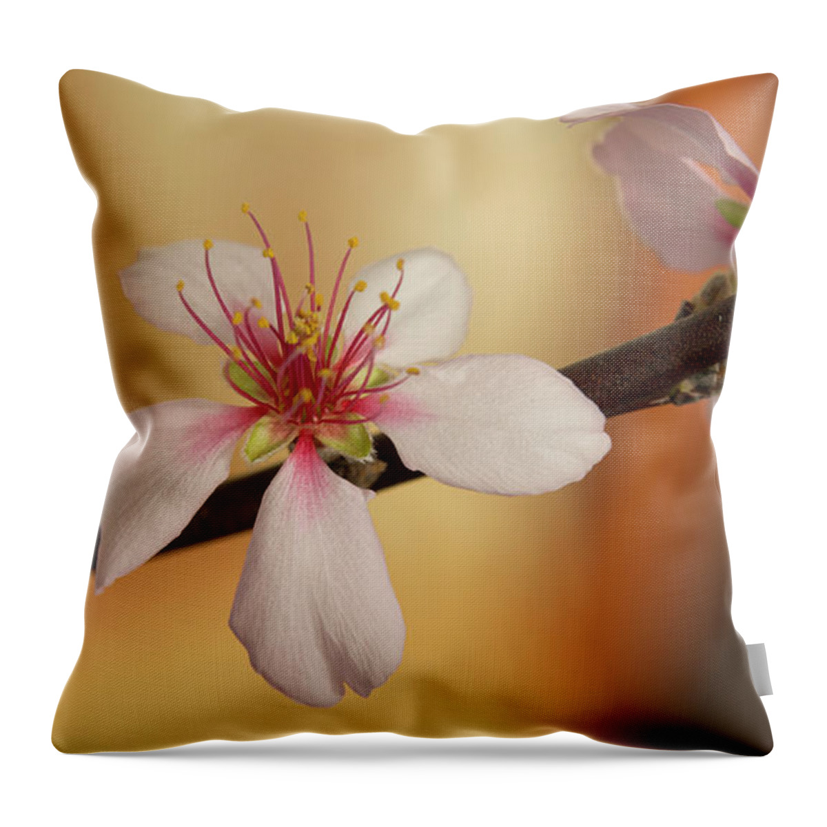 Cherry Throw Pillow featuring the photograph Warmth of hope. by Elena Perelman