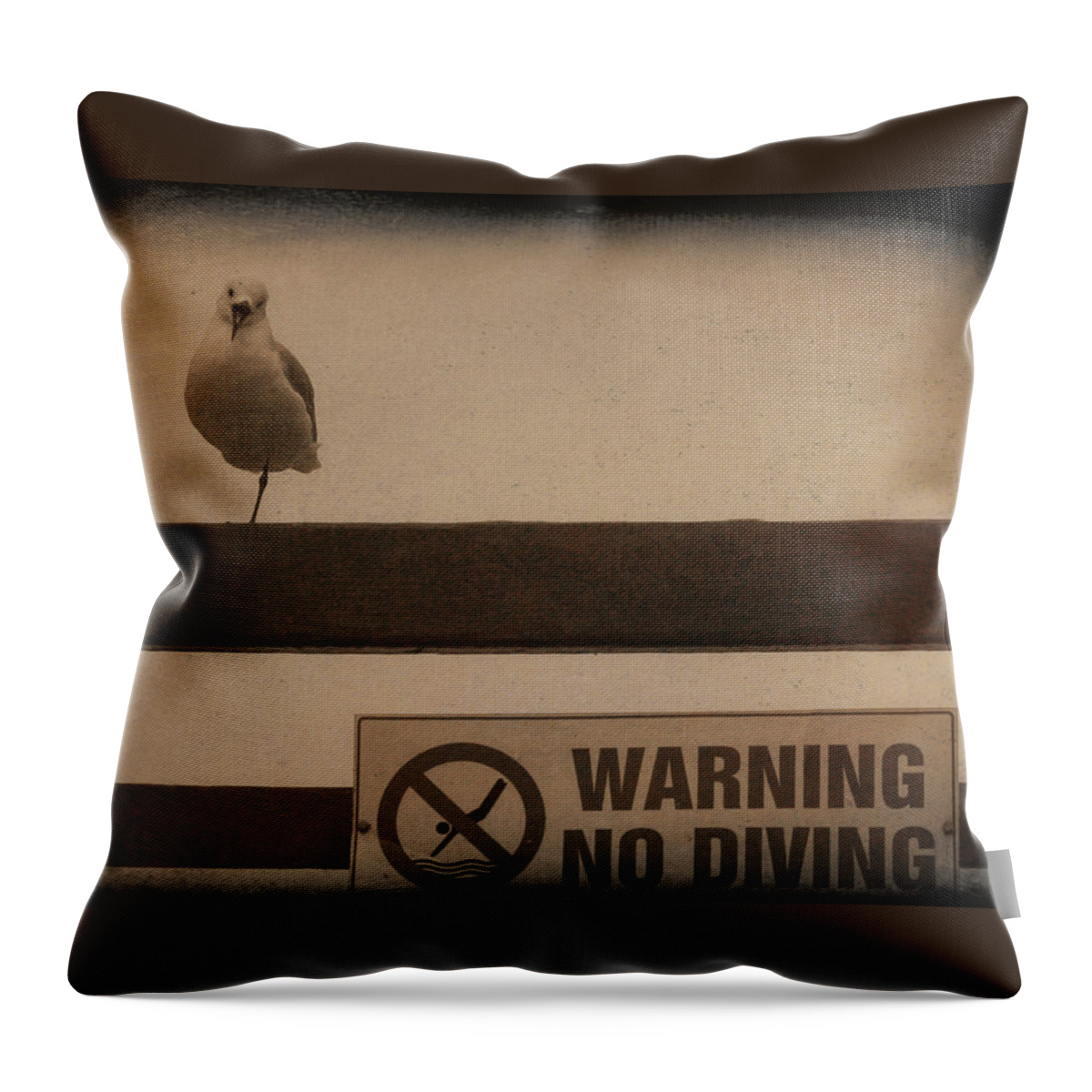Africa Throw Pillow featuring the photograph Warning No Diving 2 by Ernest Echols