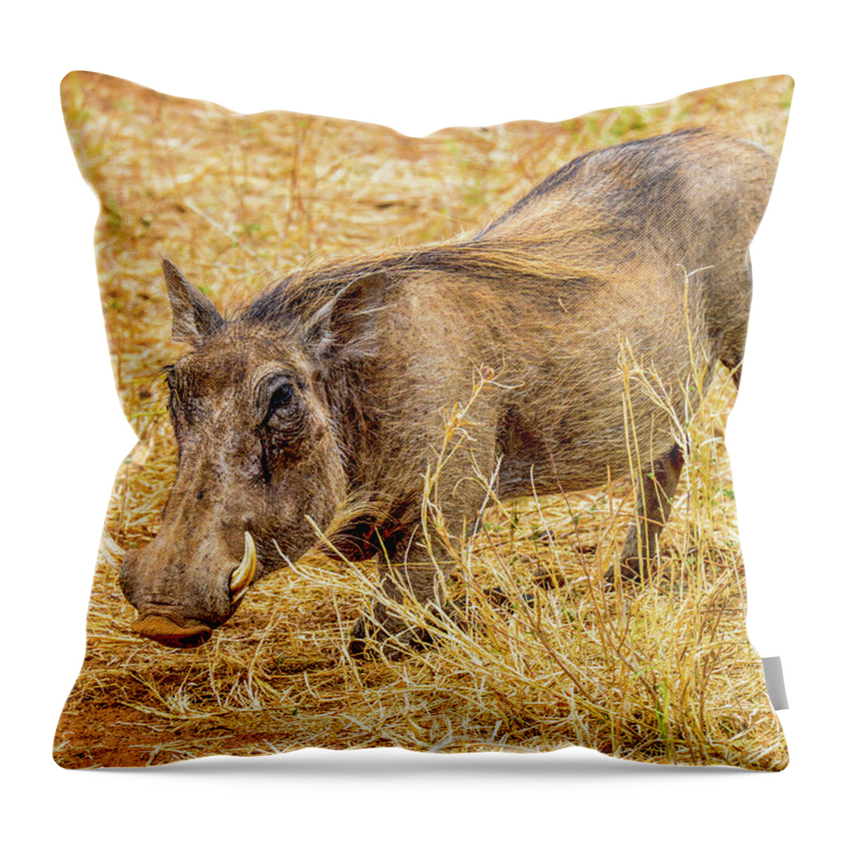 Africa Throw Pillow featuring the photograph Warthog by Marilyn Burton