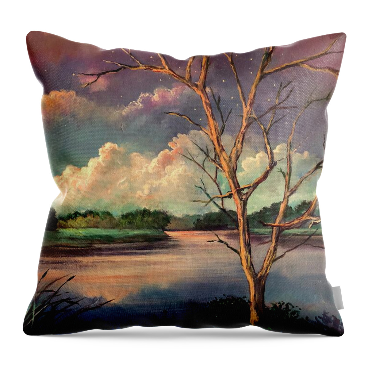 Stained Glass Throw Pillow featuring the painting Was Like Stained Glass by Rand Burns