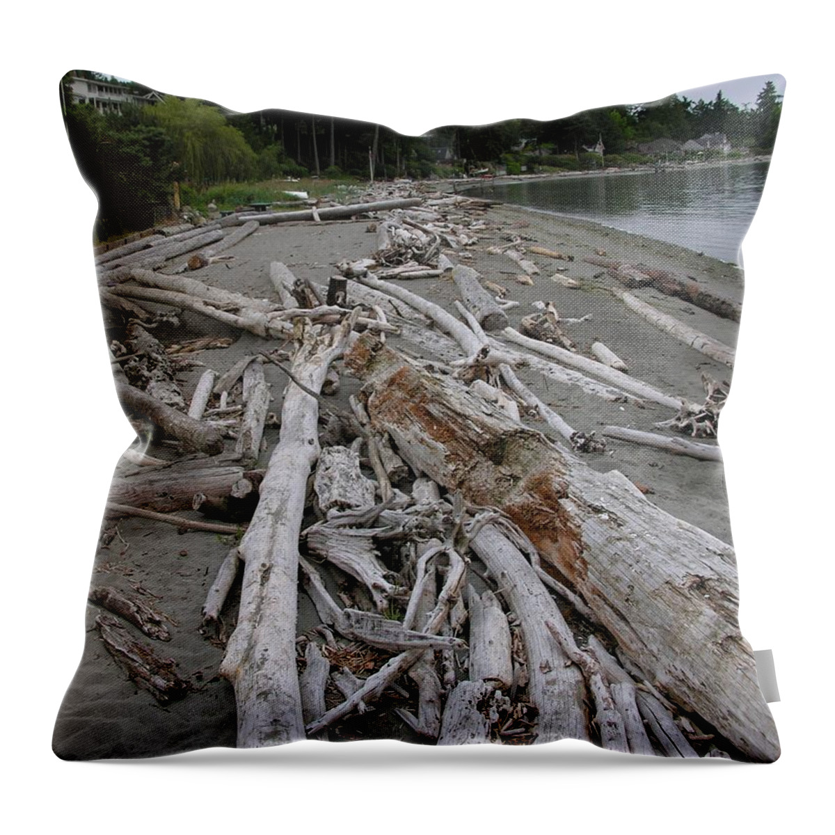 Beach Throw Pillow featuring the photograph Washed UP by Diane Lesser