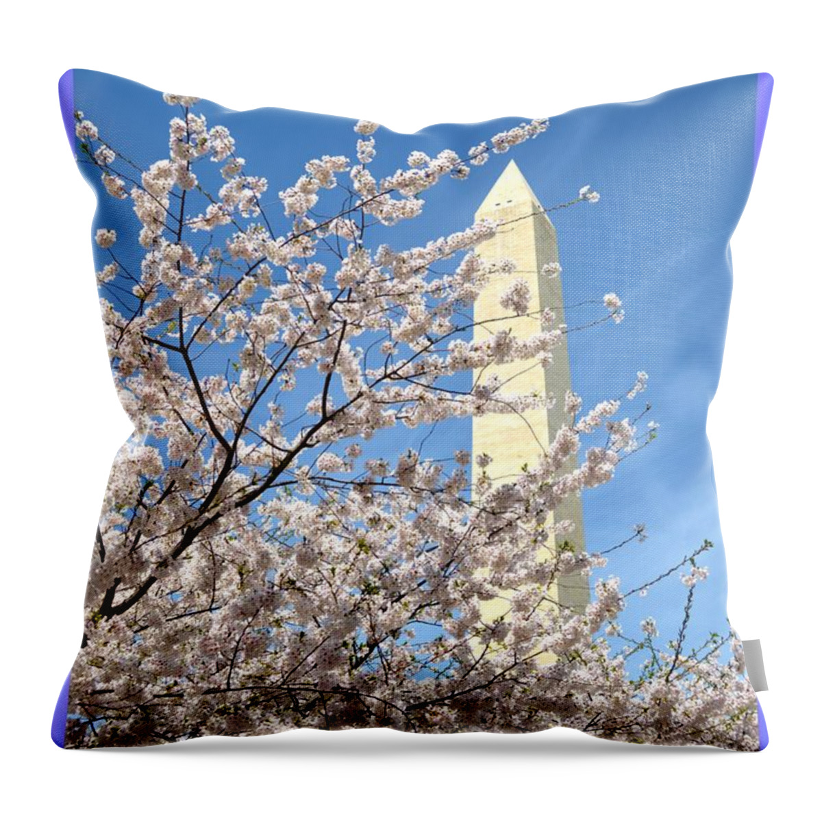 Washington Monument Throw Pillow featuring the photograph Washington Monument amidst Cherry blossoms by Sonali Gangane