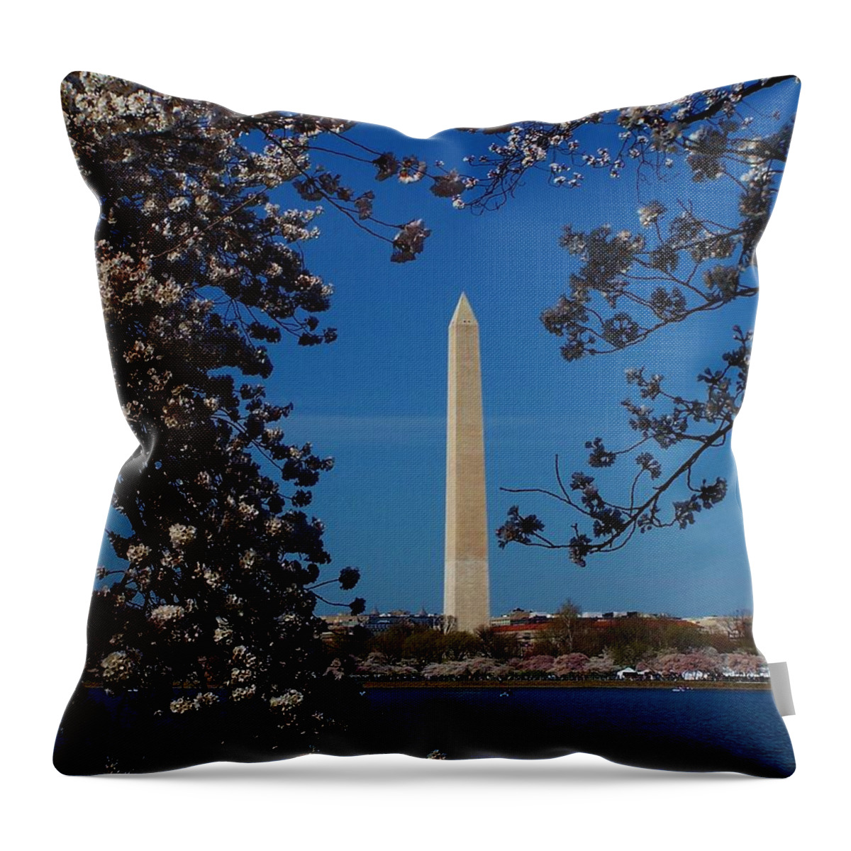 Monument Throw Pillow featuring the photograph Washington Monument by Eileen Brymer