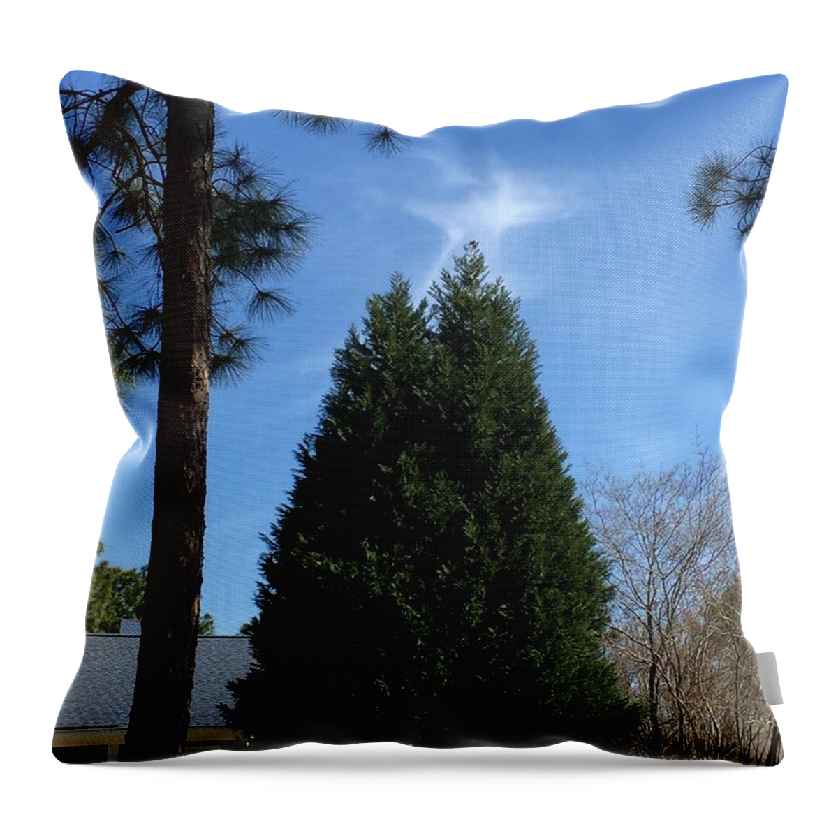 Birds Throw Pillow featuring the photograph Watch and Listen To the Birds by Matthew Seufer