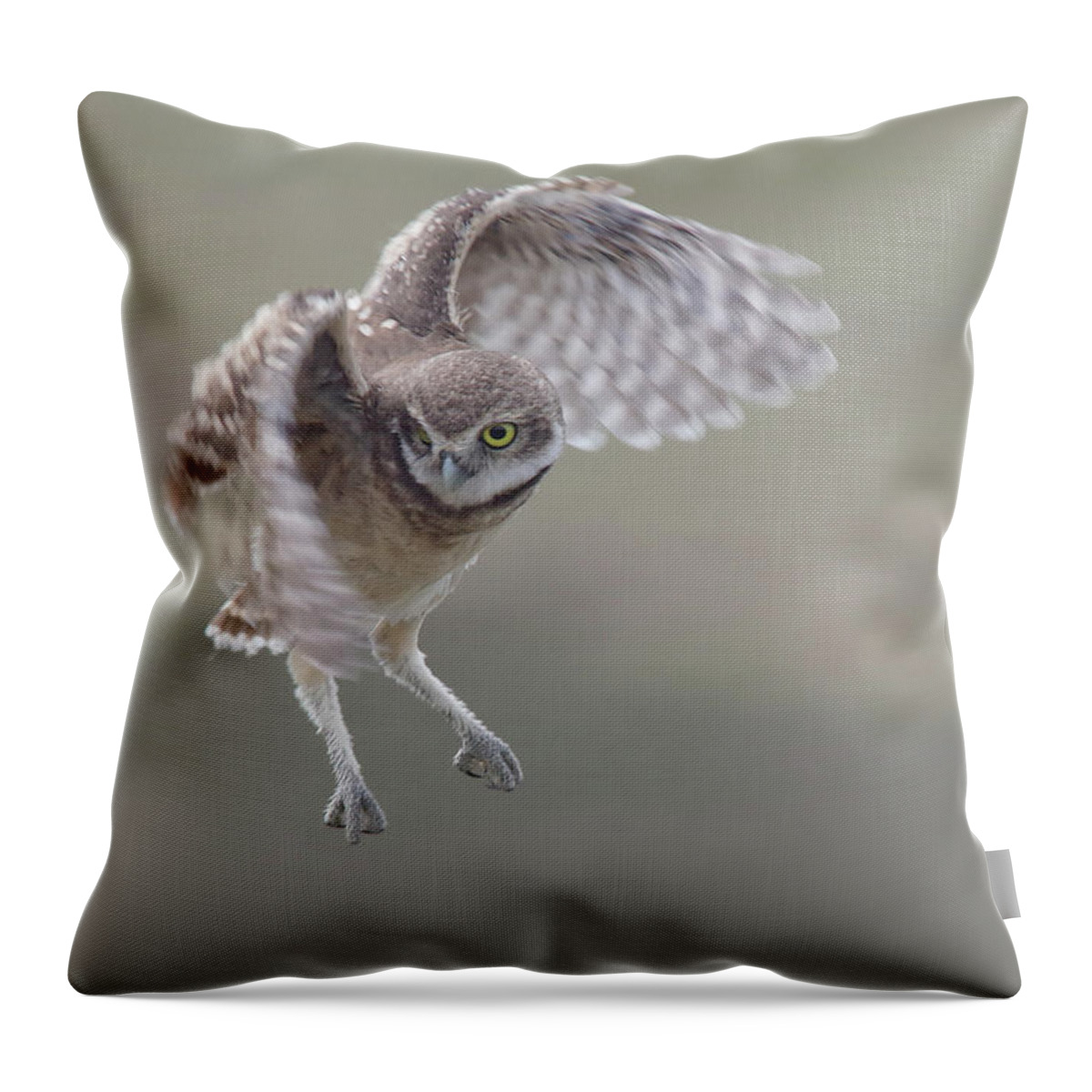 Burrowing Owlet Throw Pillow featuring the photograph Watch Me Now. by Evelyn Garcia