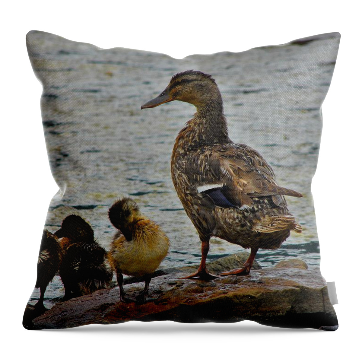 Duck Throw Pillow featuring the photograph Watchful Eye by Carl Moore