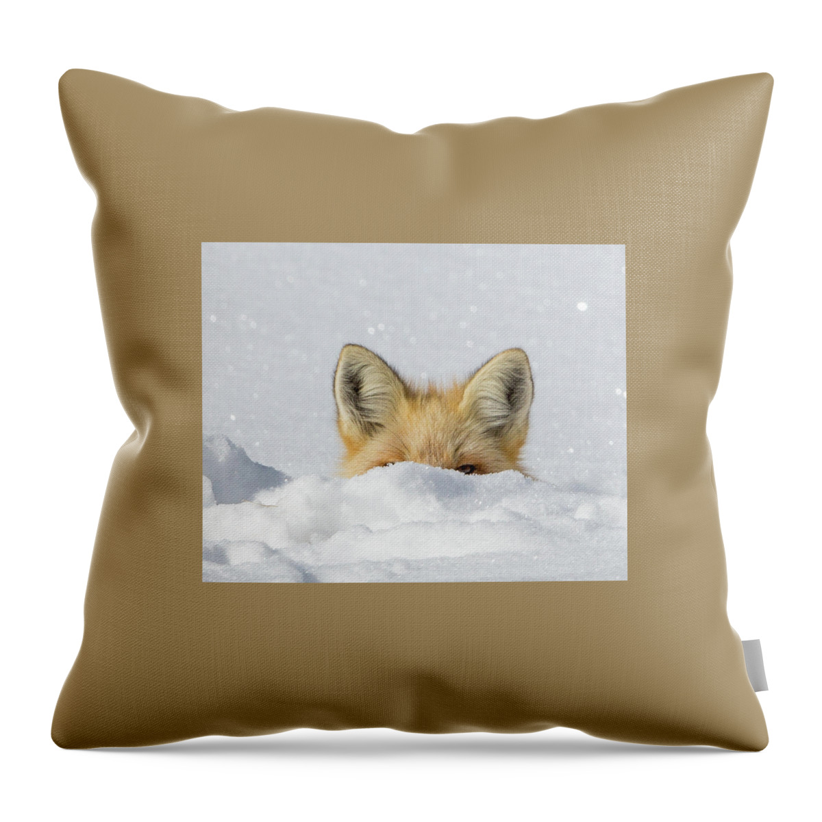 Fox Throw Pillow featuring the photograph Watchful Eye by Kevin Dietrich