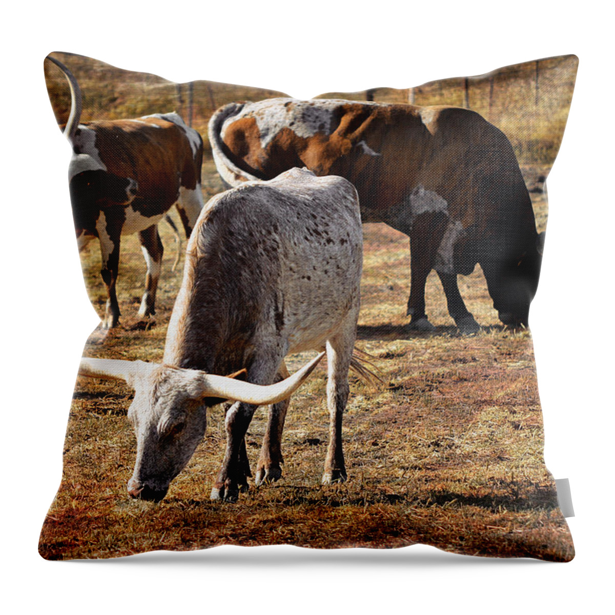Texas Longhorns Throw Pillow featuring the photograph Watchful Eyes by Glenn McCarthy Art and Photography