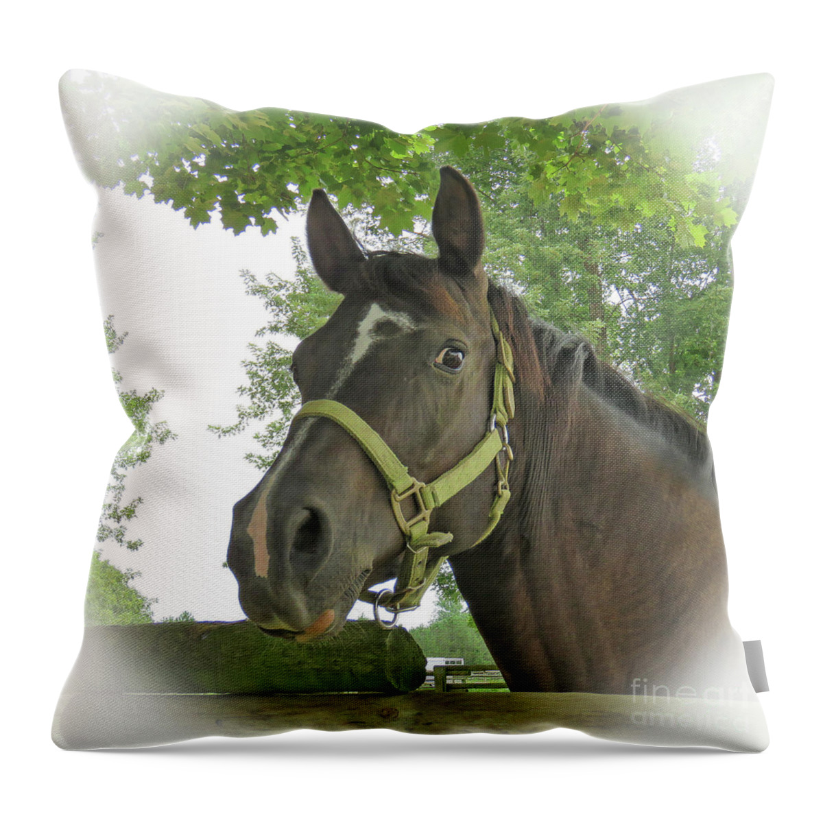 Horse Throw Pillow featuring the digital art Watchful Mare by Sharon Weiss