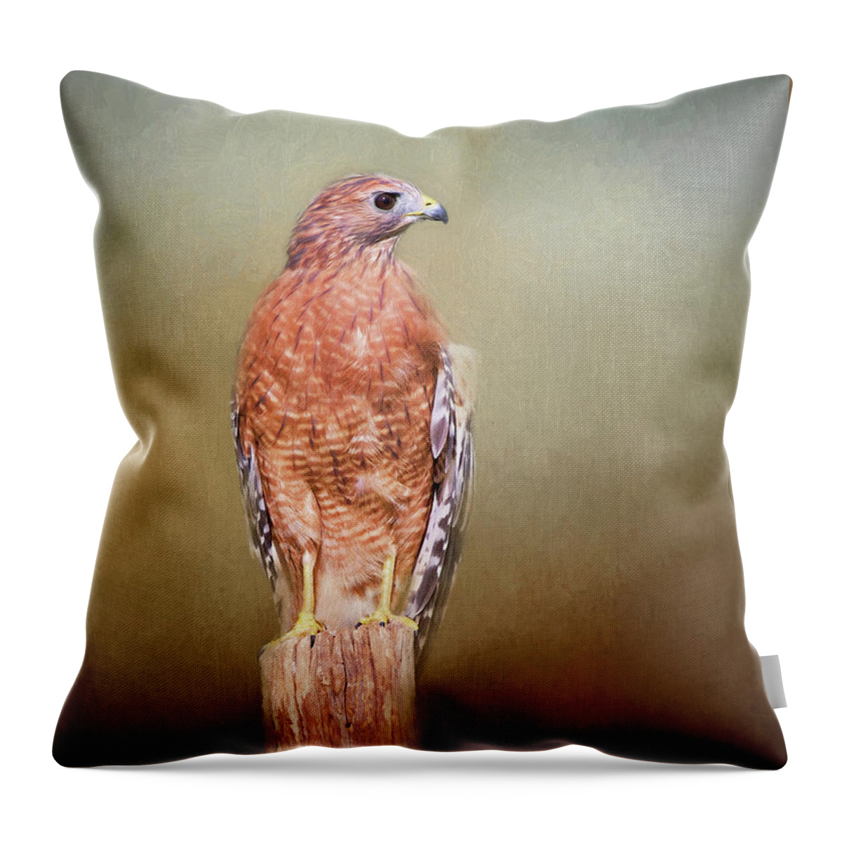 Red Shouldered Hawk Throw Pillow featuring the photograph Watching and Waiting by Sharon McConnell