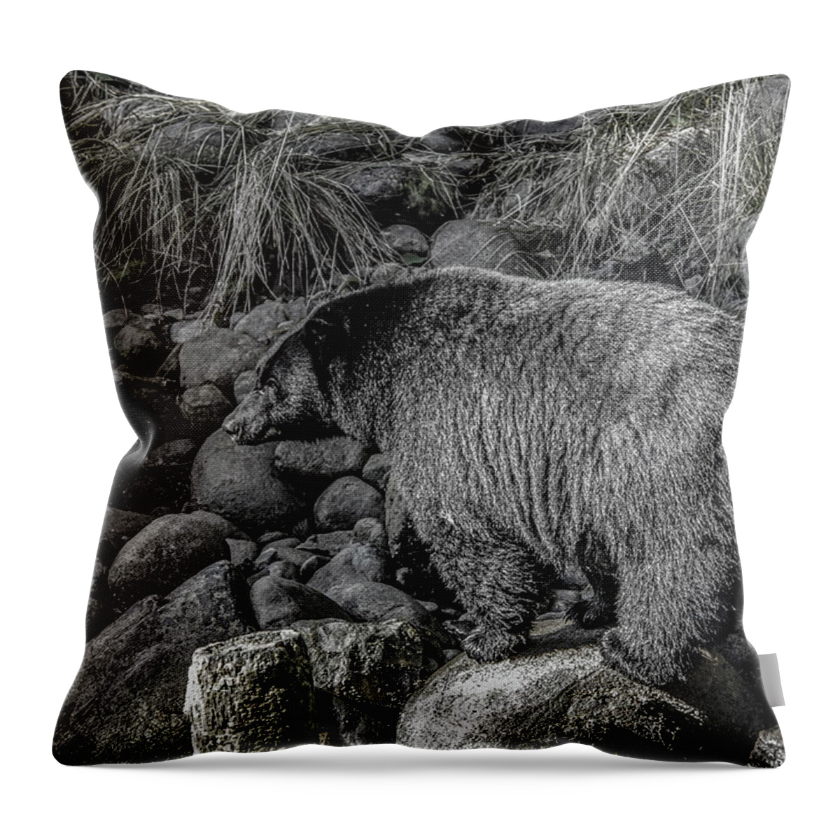 Black Bear Throw Pillow featuring the photograph Watching Black Bear by Roxy Hurtubise
