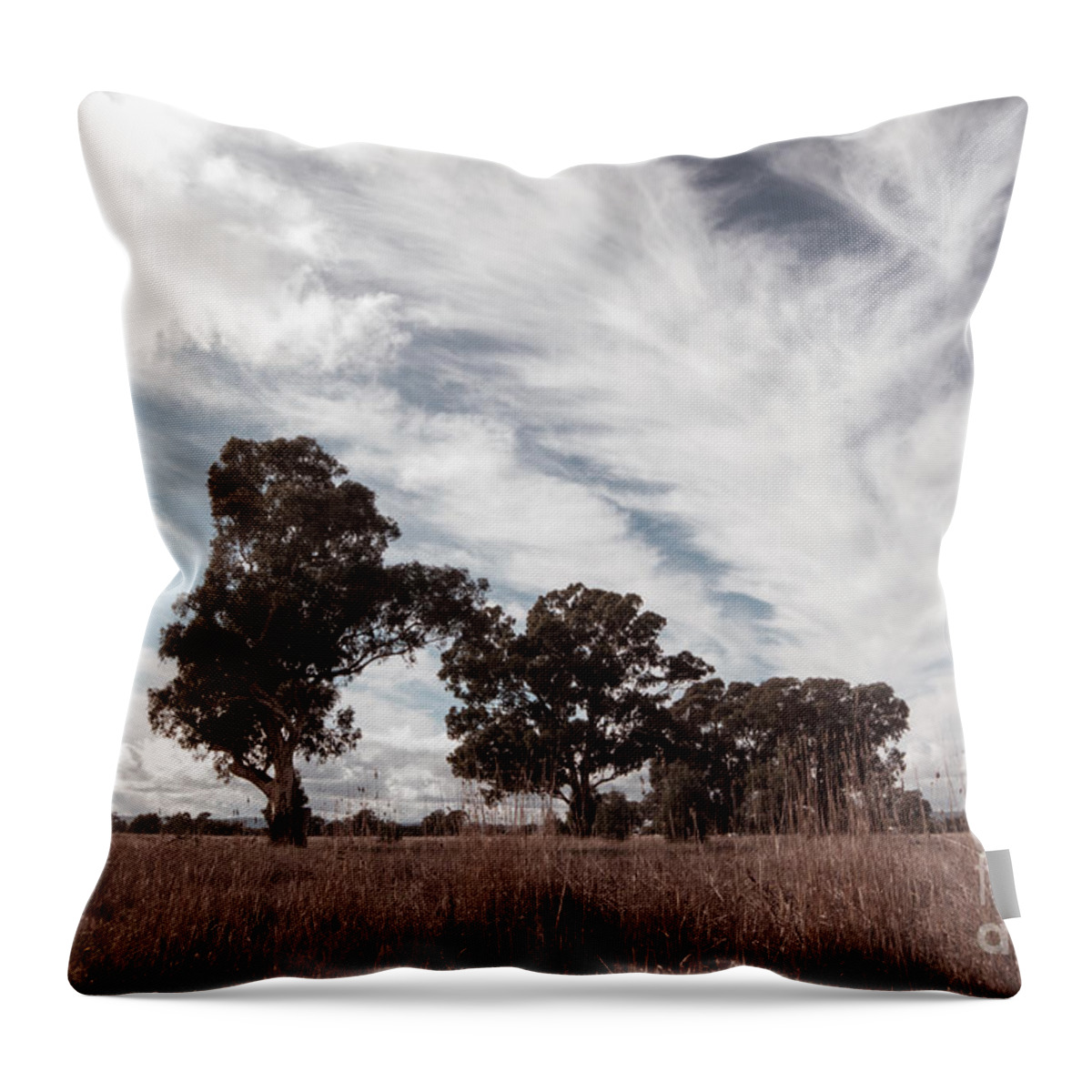 Clouds Throw Pillow featuring the photograph Watching clouds float across the sky by Linda Lees
