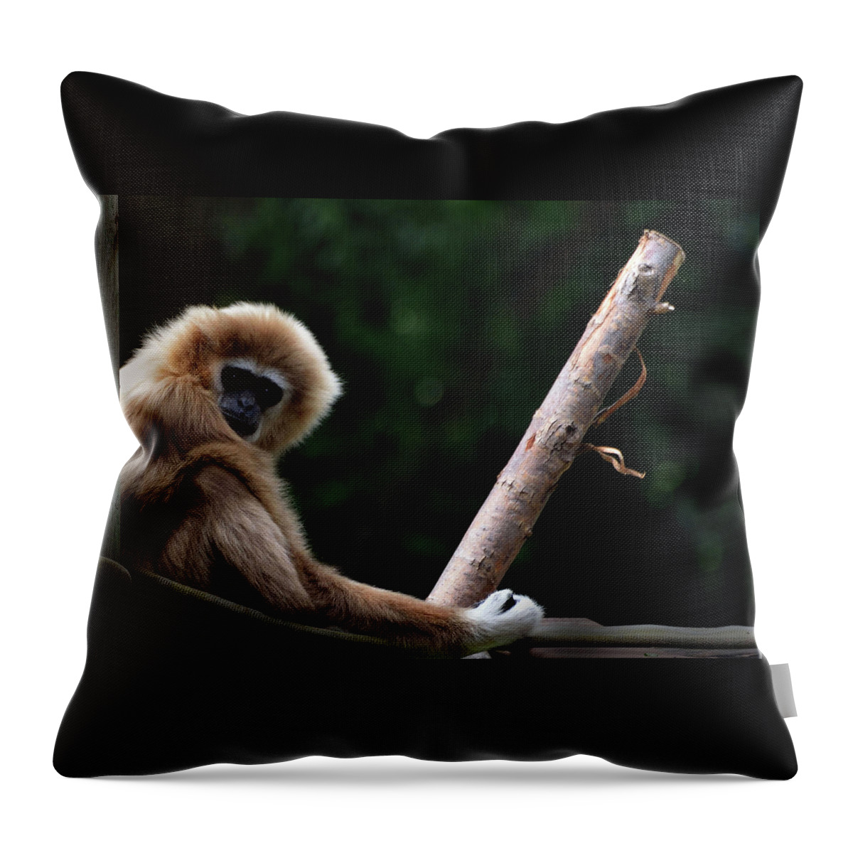 Gibbon Throw Pillow featuring the photograph Watching by Kathleen Stephens