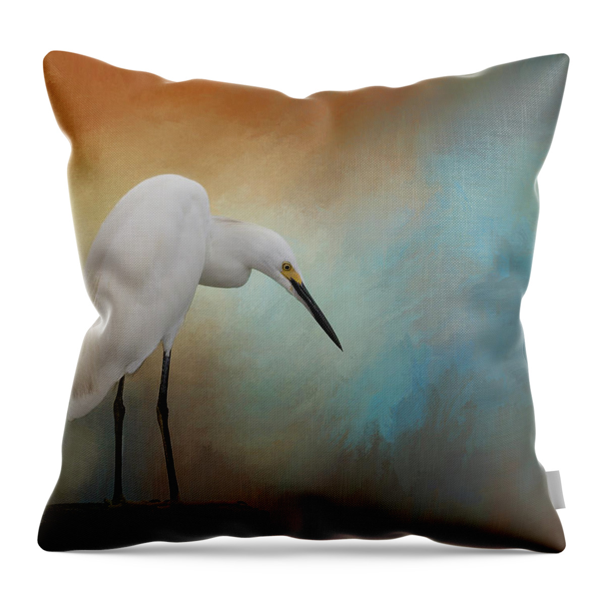 Egret Throw Pillow featuring the photograph Watching by Kim Hojnacki